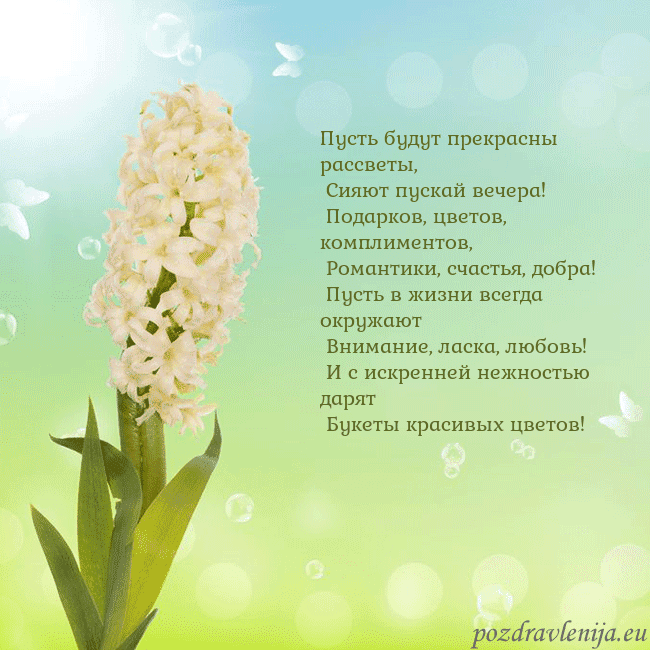 Открытка с гиацинтом