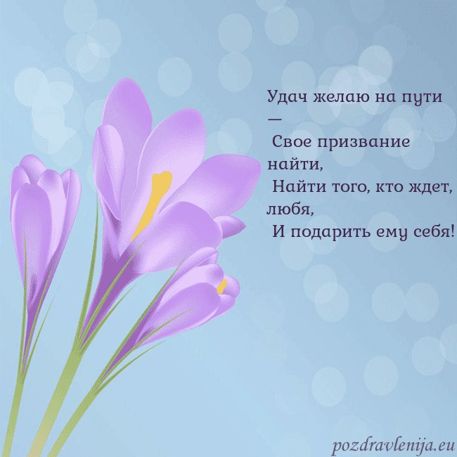 Открытка с крокусом