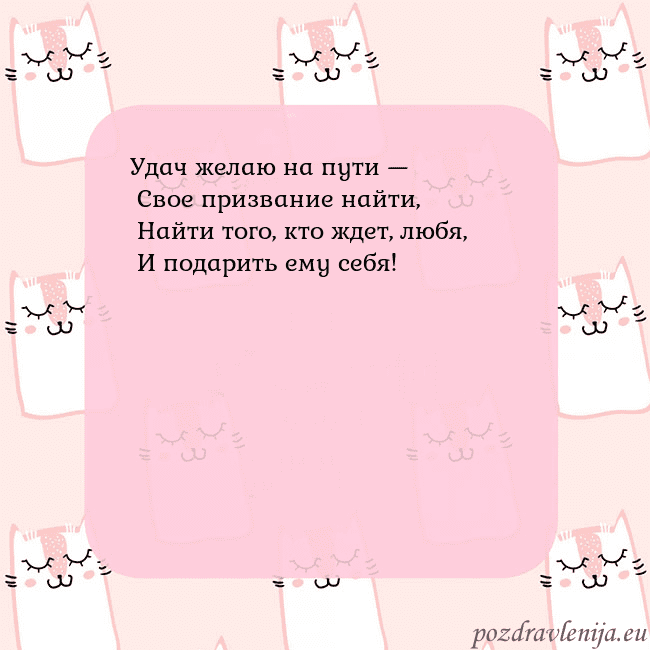 Розовая открытка с забавными кошками