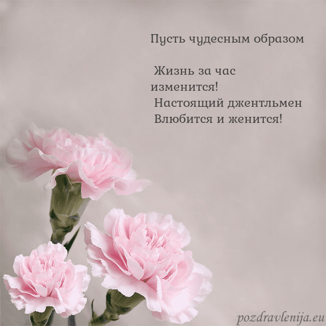 Открытка с розовыми гвоздиками