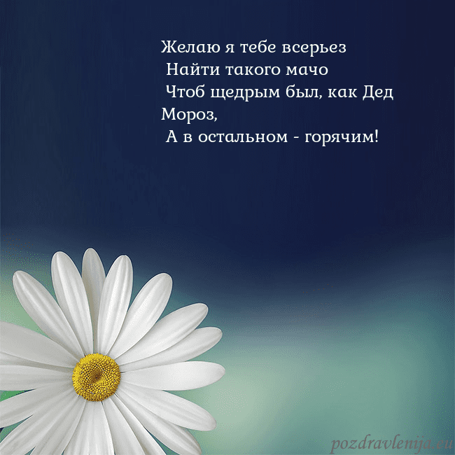 Открытка с большой ромашкой