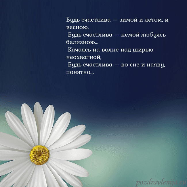 Открытка с большой ромашкой