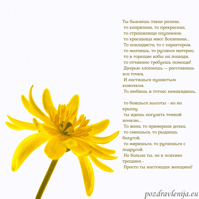 Открытка с желтым цветком Ты бываешь такая разная,
то капризная, то прекра Открытка с желтым цветком