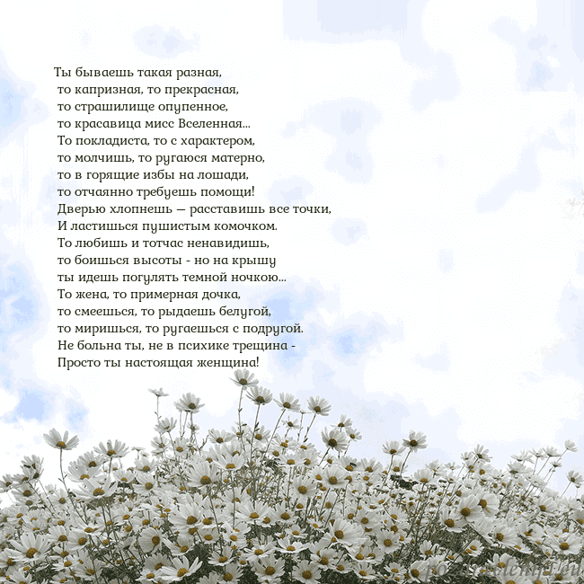 Открытка с ромашками Ты бываешь такая разная,
то капризная, то прекра Открытка с ромашками