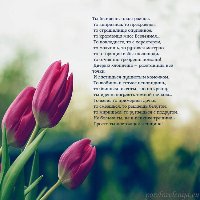 Открытка с тремя красными тюльпанами Ты бываешь такая разная,
то капризная, то прекра Открытка с тремя красными тюльпанами