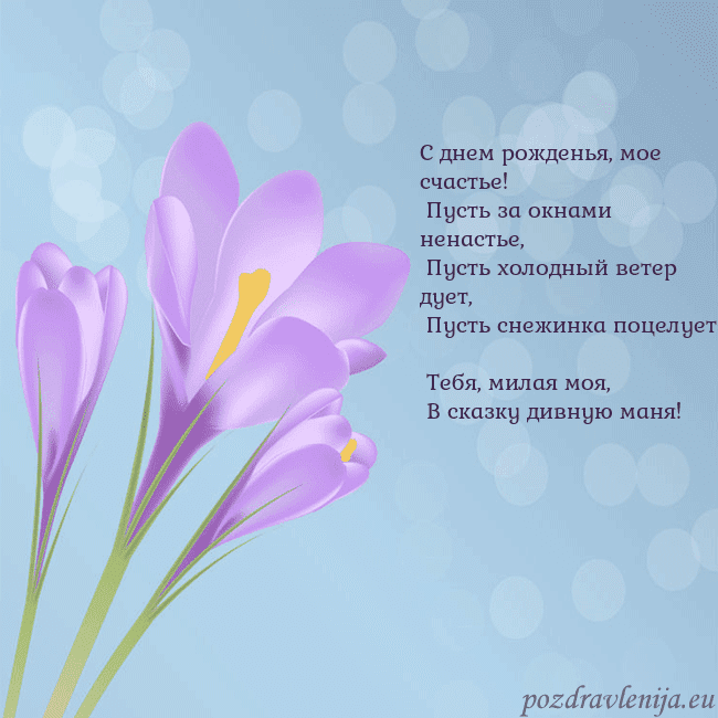 Открытка с крокусом