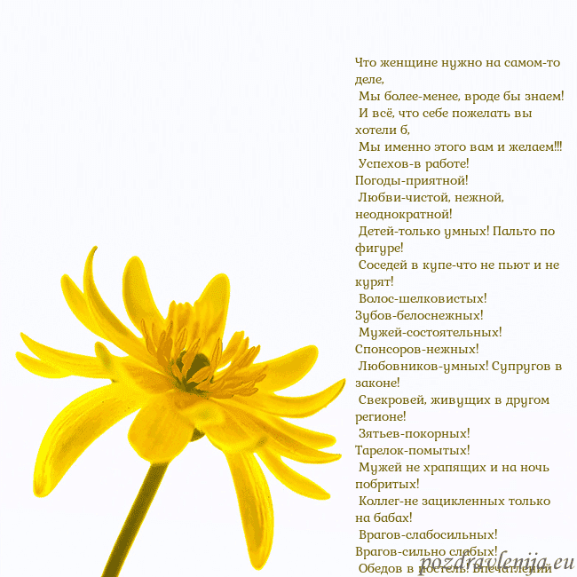 Открытка с желтым цветком Что женщине нужно на самом-то деле,
Мы более-мен Открытка с желтым цветком
