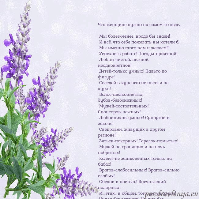 Открытка с люпинами Что женщине нужно на самом-то деле,
Мы более-мен Открытка с люпинами