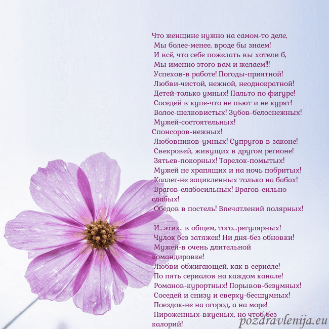 Электронная открытка с фиолетовым цветком Что женщине нужно на самом-то деле,
Мы более-мен Электронная открытка с фиолетовым цветком