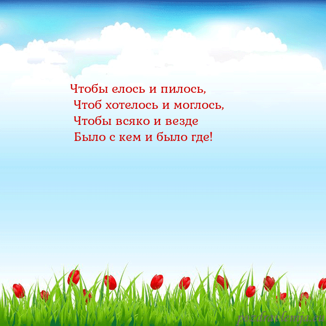 Открытка с тюльпанами