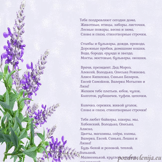 Открытка с люпинами Тебя поздравляют сегодня дома,
Животные, птицы, Открытка с люпинами