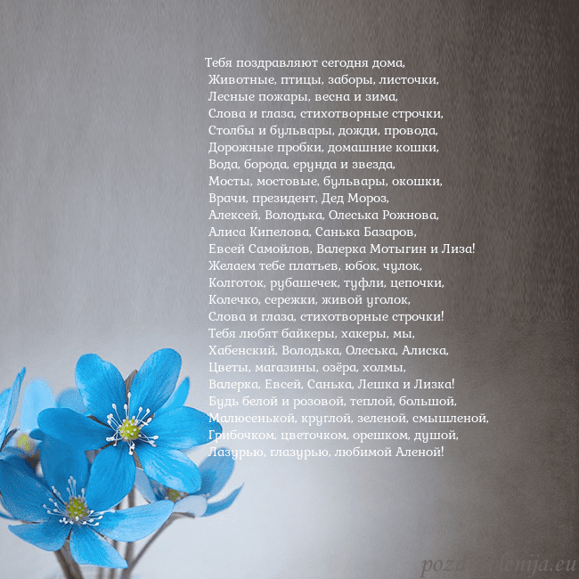 Открытка с фиалками Тебя поздравляют сегодня дома,
Животные, птицы, Открытка с фиалками