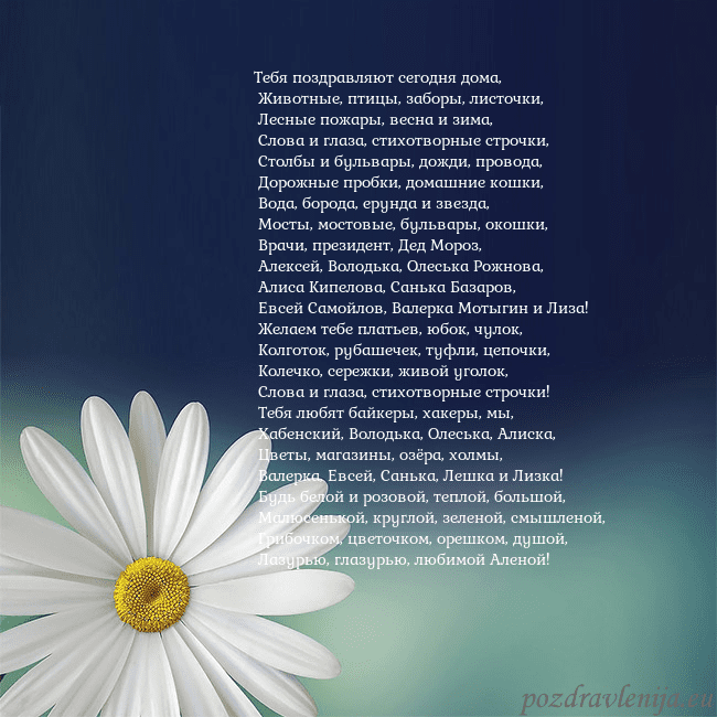 Открытка с большой ромашкой Тебя поздравляют сегодня дома,
Животные, птицы, Открытка с большой ромашкой