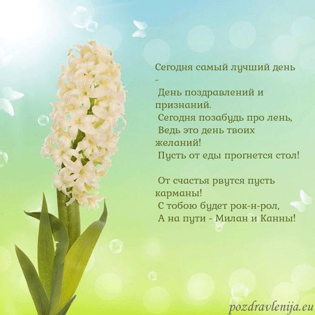 Открытка с гиацинтом