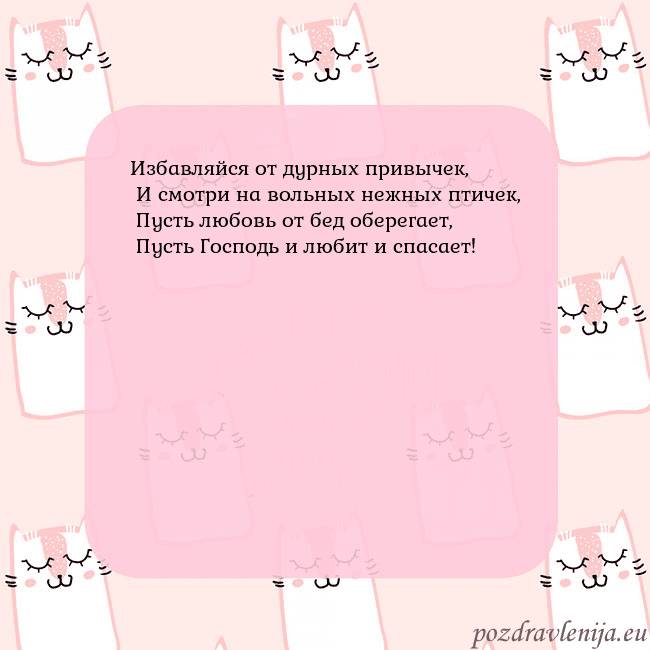 Розовая открытка с забавными кошками