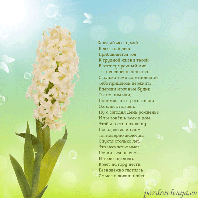 Открытка с гиацинтом