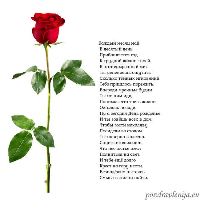 Открытка с красной розой