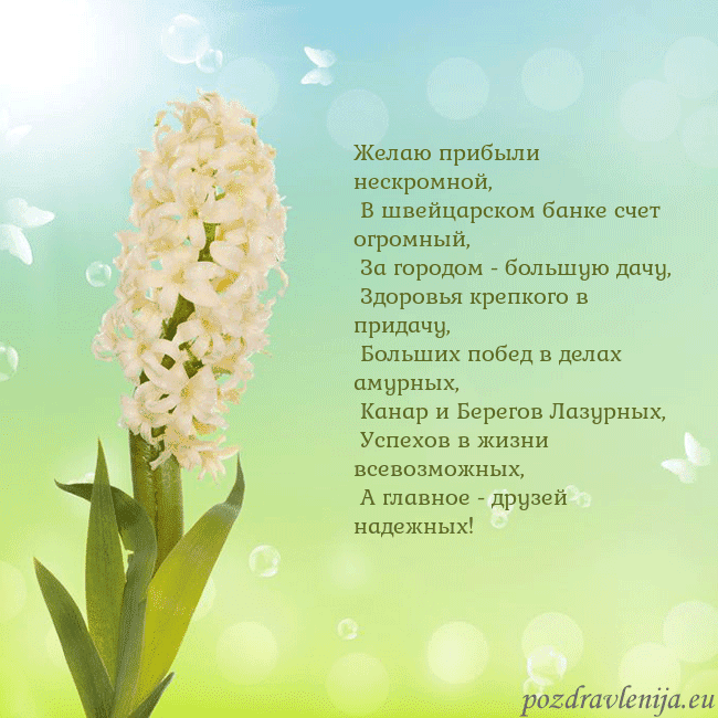 Открытка с гиацинтом