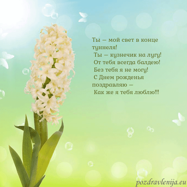 Открытка с гиацинтом