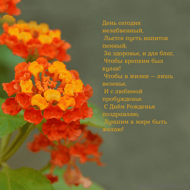 Открытка с оранжевыми цветами