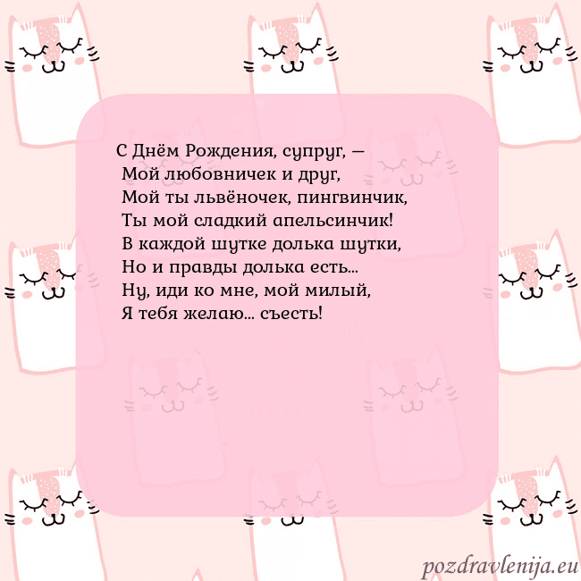 Розовая открытка с забавными кошками