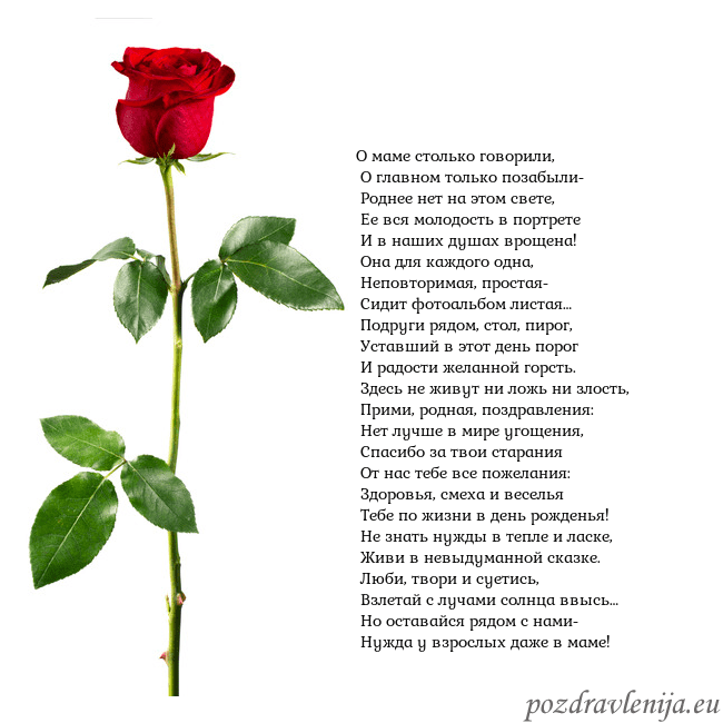 Открытка с красной розой О маме столько говорили,
О главном только позабы Открытка с красной розой