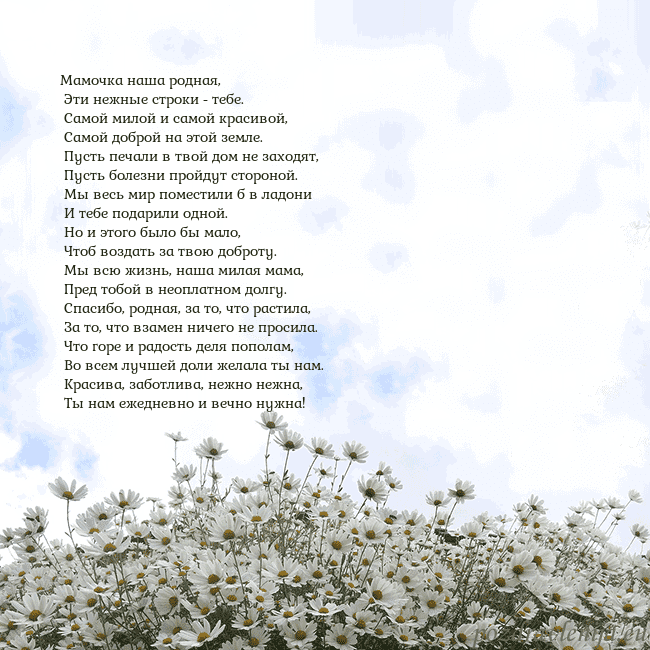 Открытка с ромашками Мамочка наша родная,
Эти нежные строки - тебе.
Открытка с ромашками