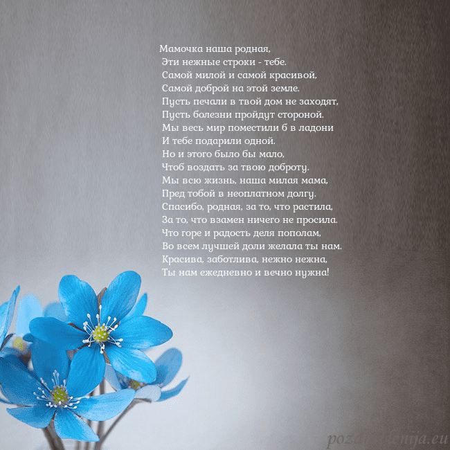 Открытка с фиалками Мамочка наша родная,
Эти нежные строки - тебе.
Открытка с фиалками