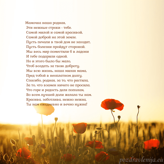 Электронная открытка с полем маков Мамочка наша родная,
Эти нежные строки - тебе.
Электронная открытка с полем маков