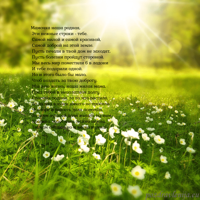 Электронная открытка с утопающим в солнечном свете лугом Мамочка наша родная,
Эти нежные строки - тебе.
Электронная открытка с утопающим в солнечном свете лугом