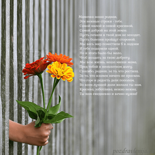 Электронная открытка с букетом цветов Мамочка наша родная,
Эти нежные строки - тебе.
Электронная открытка с букетом цветов