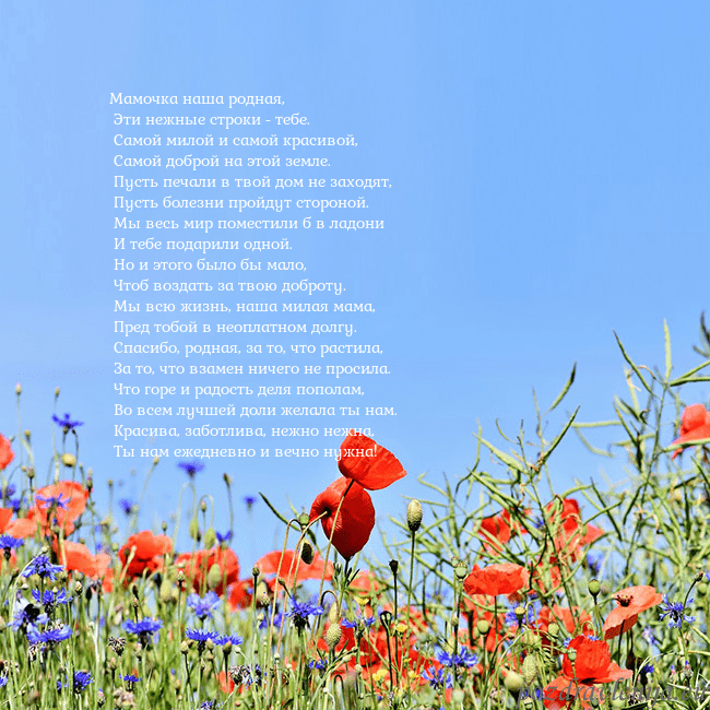 Открытка с маками Мамочка наша родная,
Эти нежные строки - тебе.
Открытка с маками