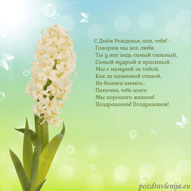 Открытка с гиацинтом