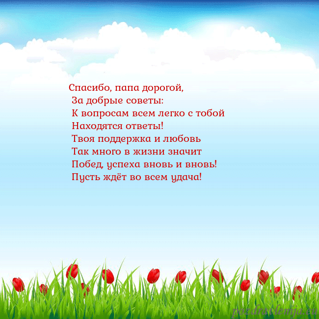 Открытка с тюльпанами