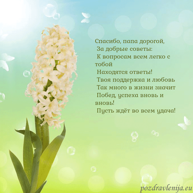 Открытка с гиацинтом