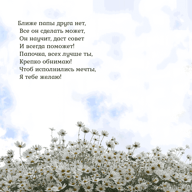 Открытка с ромашками
