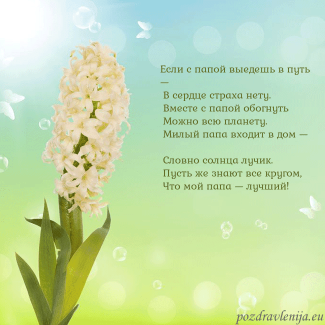 Открытка с гиацинтом