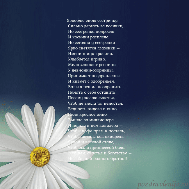 Открытка с большой ромашкой Я люблю свою сестричку
Сильно дергать за косички Открытка с большой ромашкой