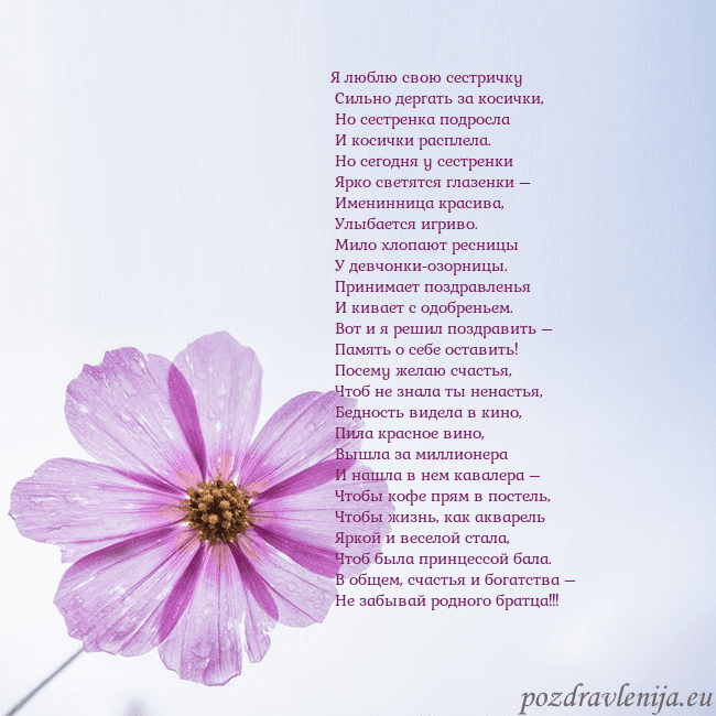 Электронная открытка с фиолетовым цветком Я люблю свою сестричку
Сильно дергать за косички Электронная открытка с фиолетовым цветком