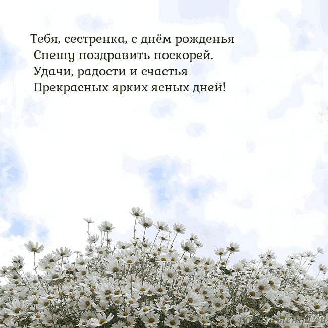 Открытка с ромашками