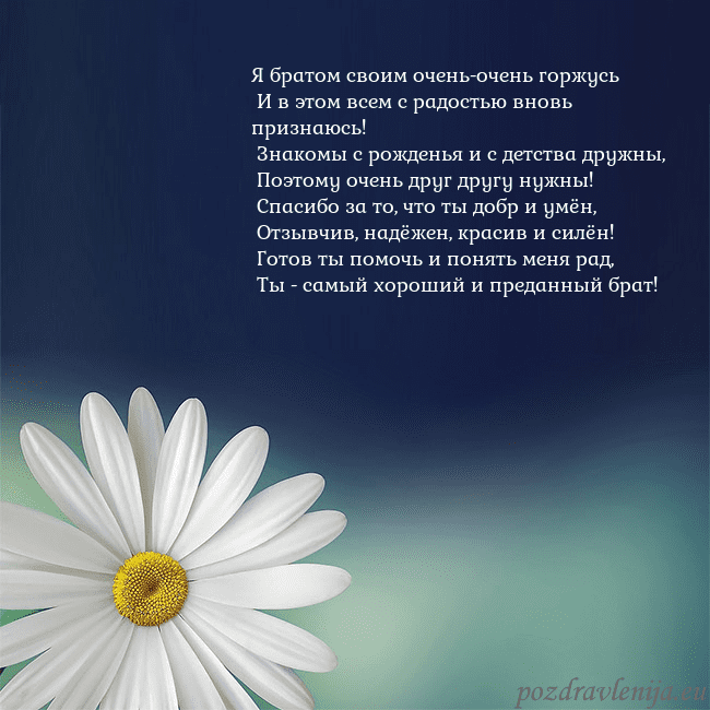 Открытка с большой ромашкой