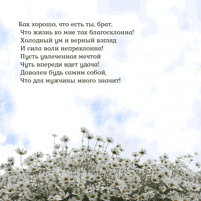 Открытка с ромашками