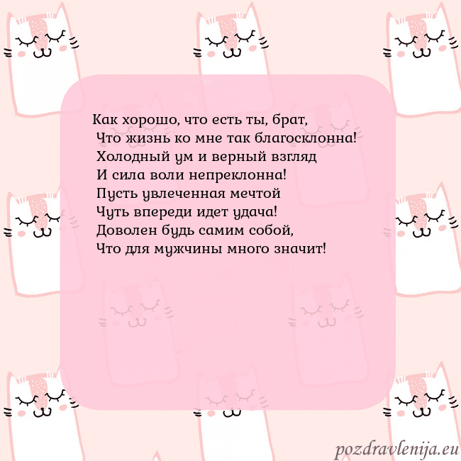 Розовая открытка с забавными кошками