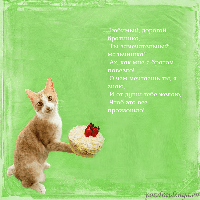 Забавная открытка на день рождения с кошкой и тортом