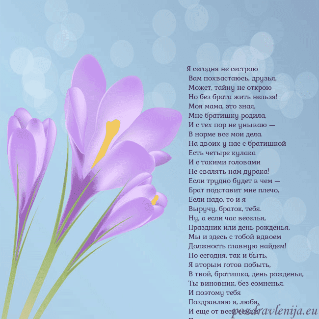 Открытка с крокусом Я сегодня не сестрою
Вам похвастаюсь, друзья,
Открытка с крокусом