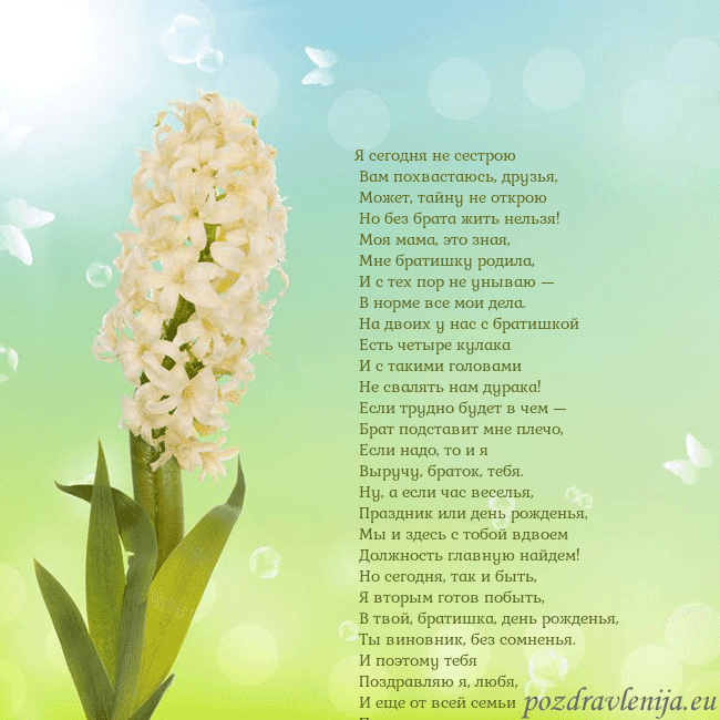Открытка с гиацинтом Я сегодня не сестрою
Вам похвастаюсь, друзья,
Открытка с гиацинтом