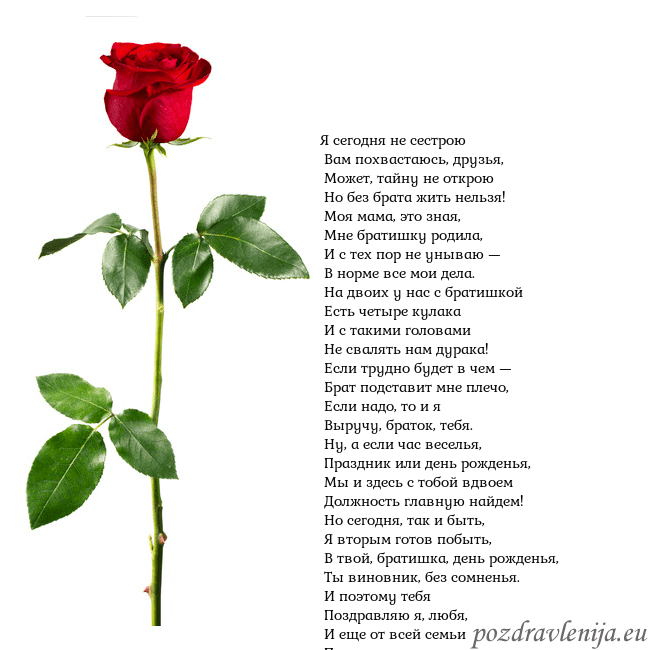 Открытка с красной розой Я сегодня не сестрою
Вам похвастаюсь, друзья,
Открытка с красной розой