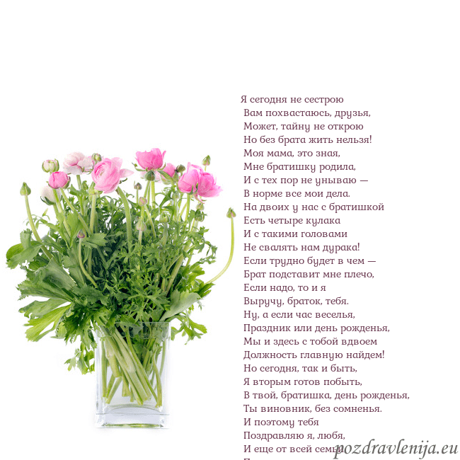 Открытка с цветами в вазе Я сегодня не сестрою
Вам похвастаюсь, друзья,
Открытка с цветами в вазе