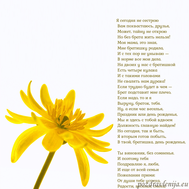 Открытка с желтым цветком Я сегодня не сестрою
Вам похвастаюсь, друзья,
Открытка с желтым цветком