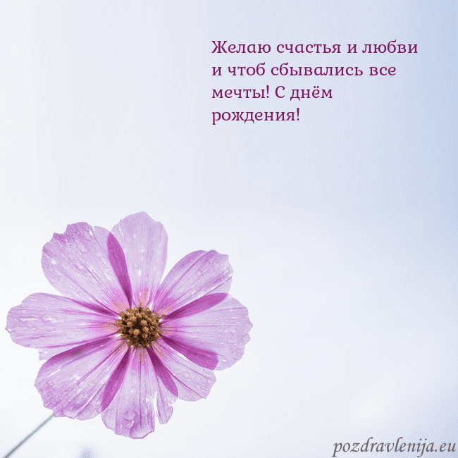 Электронная открытка с фиолетовым цветком